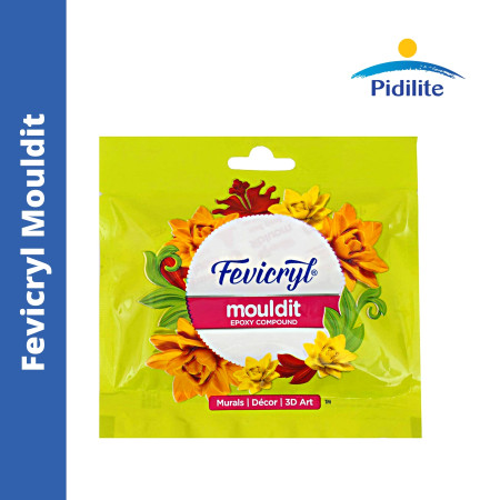 Pidilite Fevicryl Mouldit